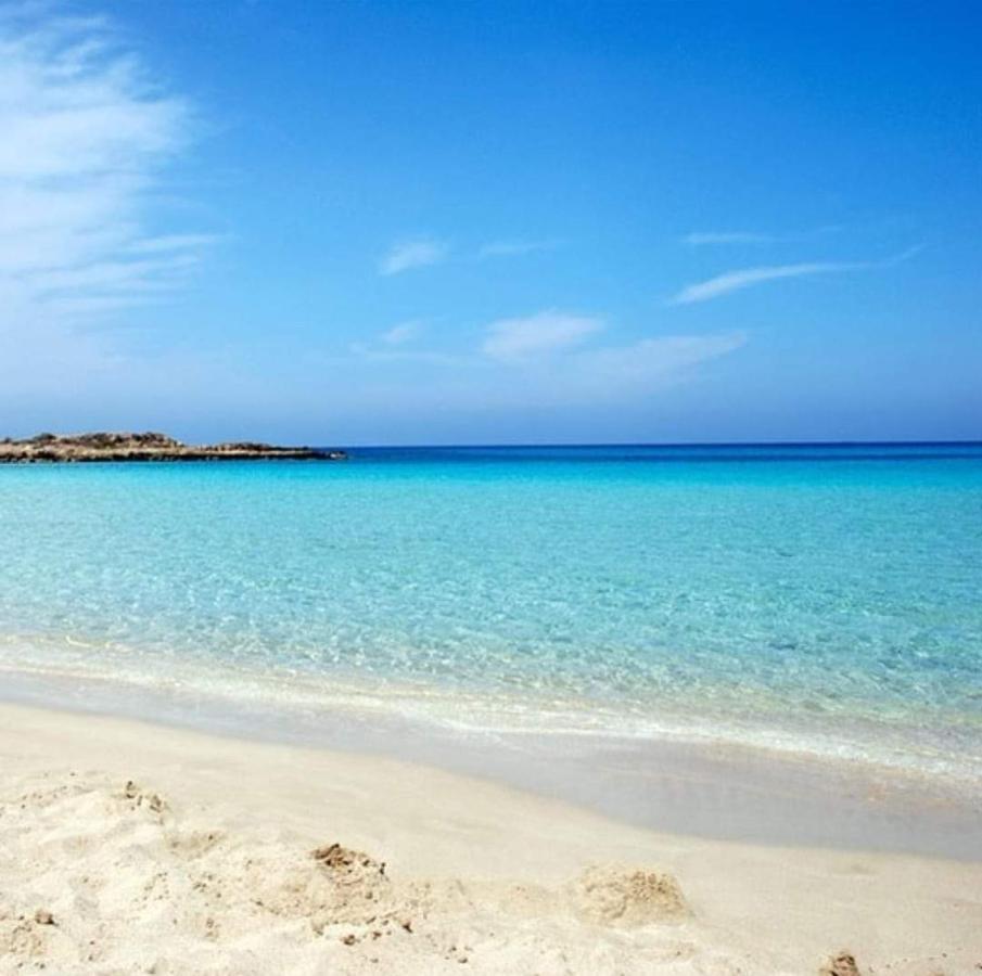 Nissi Golden Sands Sea View 2 Bedroom Apartment アヤナパ エクステリア 写真