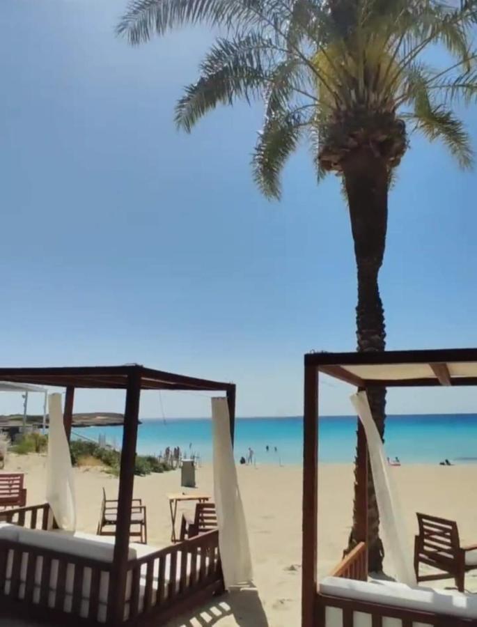 Nissi Golden Sands Sea View 2 Bedroom Apartment アヤナパ エクステリア 写真